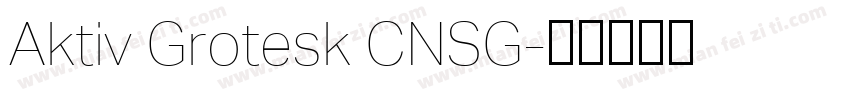 Aktiv Grotesk CNSG字体转换